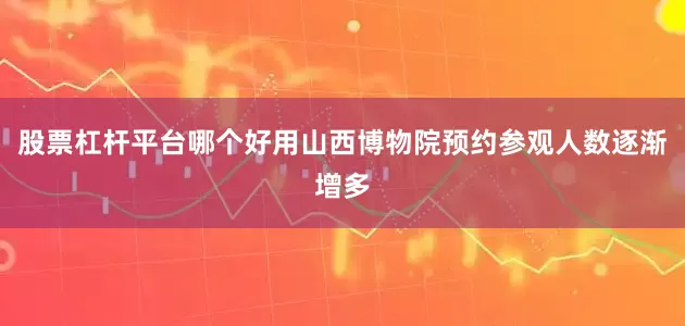 股票杠杆平台哪个好用山西博物院预约参观人数逐渐增多