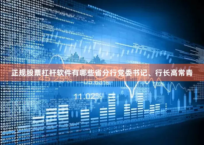 正规股票杠杆软件有哪些省分行党委书记、行长高常青